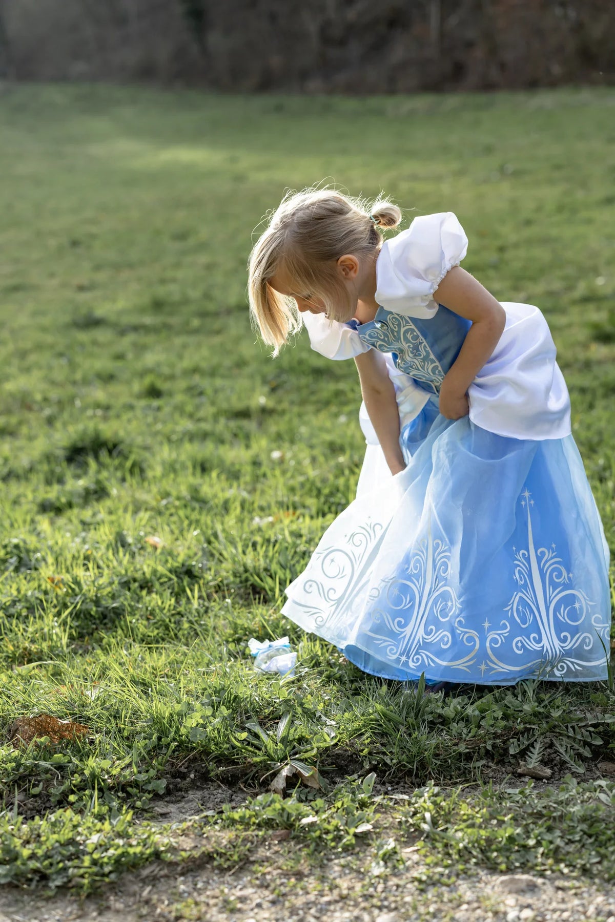 Once Upon a Princess Cinderella Dress – Jelly and Boo