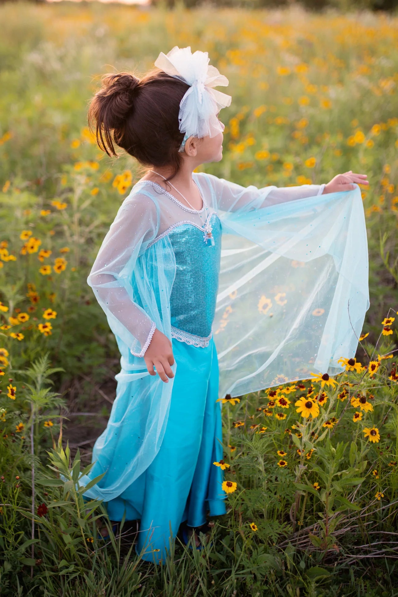 Ice Queen Dress With Cape Sale price