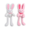 Plush Bunny