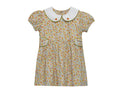 Kate Dress-Pumpkins