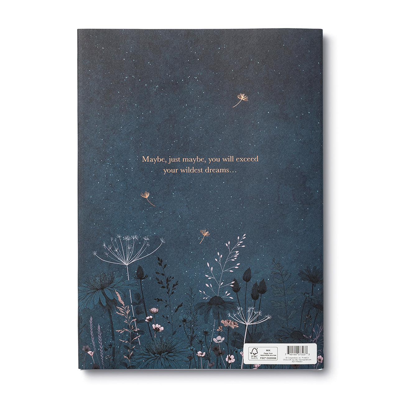MAYBE - Book