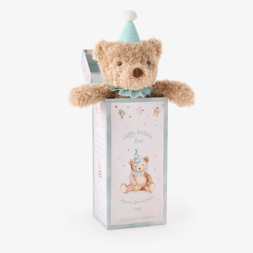 BIRTHDAY BEAR PLUSH TOY W/ GIFT BOX