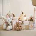 BIRTHDAY BEAR PLUSH TOY W/ GIFT BOX