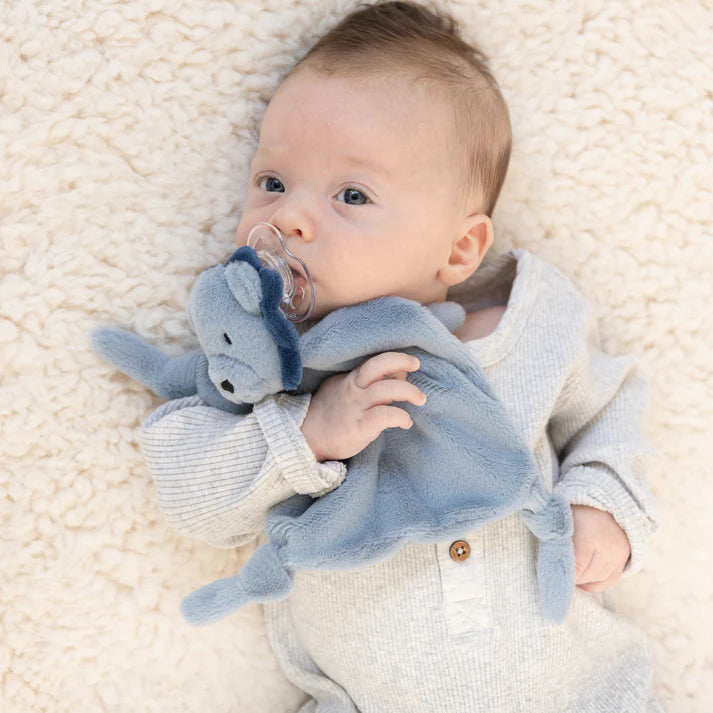 Pacifier Buddy