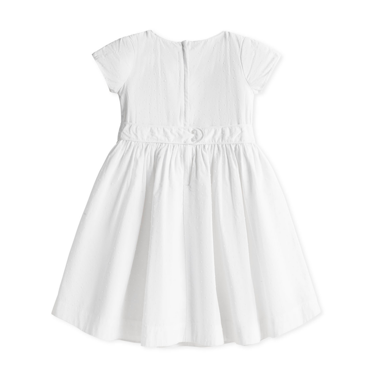 Organic Tulip Sleeve Party Dress