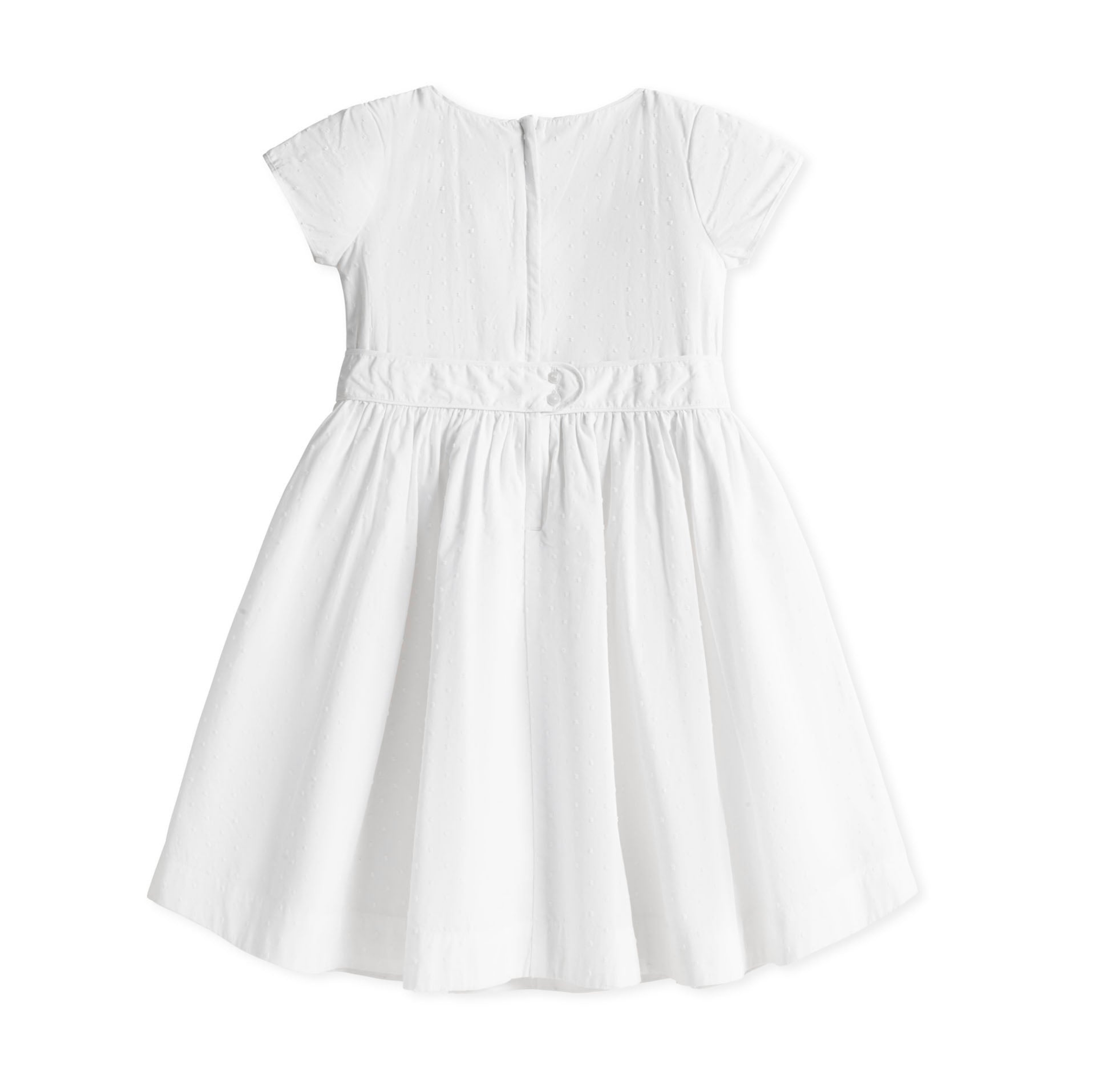 Organic Tulip Sleeve Party Dress