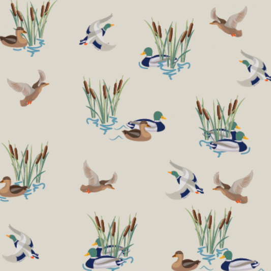 Quacky Adventures Knit