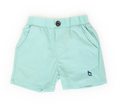 Mint Shorts