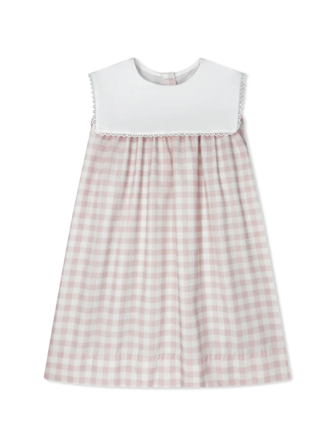 Hope Chest Dress Playful Pink Buffalo Check