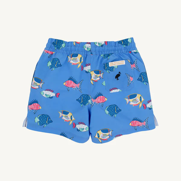 Tortola Trunks - fish