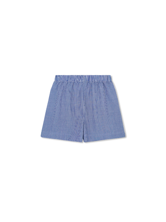 River Royal Mini Gingham Shorts
